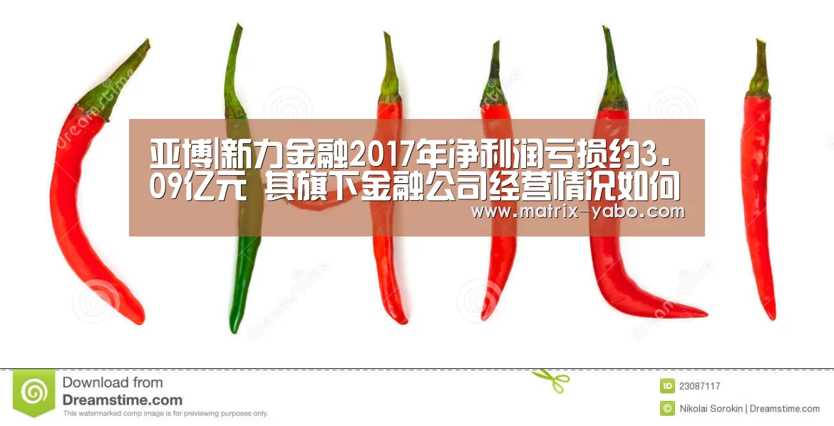 亚博|新力金融2017年净利润亏损约3.09亿元 其旗下金融公司经营情况如何(图2) 亚博官网